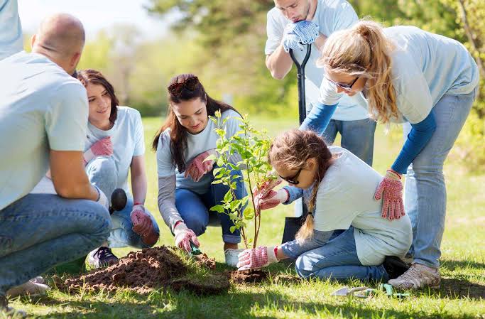 Community Participation Care
