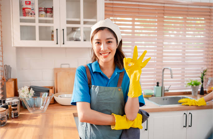 NDIS Household Assistance